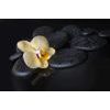 Samolepící fototapeta kompozice kamenů se žlutou orchidejí