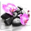 Obraz harmonie orchideje a kamenů