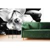 Fototapeta detail tropické orchideje v černobílém provedení