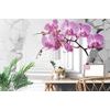 Samolepící tapeta jedinečná orchidej