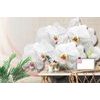 Samolepící tapeta krása bílé orchideje na plátně