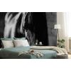 Originální černobílá samolepící fototapeta vznešený kůň