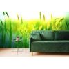 Samolepící tapeta stébla trávy s nádechem zelené