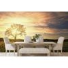 Samolepící fototapeta opuštěný strom při západu slunce