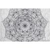 Samolepící tapeta jemná abstrakce květu v černobílém provedení