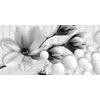 Obraz černobílý abstrakt květu