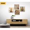Set obrazů Feng Shui v zemitých barvách
