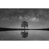 Nádherná černobílá fototapeta strom pod oblohou plnou hvězd