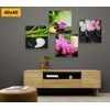 Set obrazů nádherné Feng Shui prvky