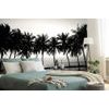 Samolepící tapeta palmy při západu slunce v černobílém provedení