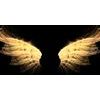 Obraz zářivá andělská křídla