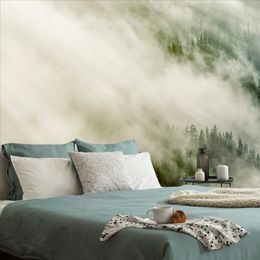 Fototapeta les zahalený do mlhy