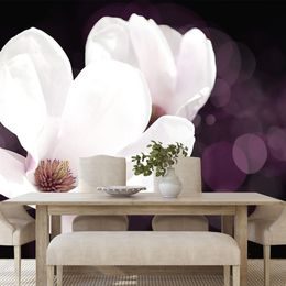Samolepící tapeta nádherná magnolie na abstraktním pozadí