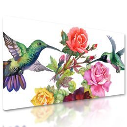Obraz malované kolibříky