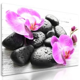 Obraz harmonie orchideje a kamenů