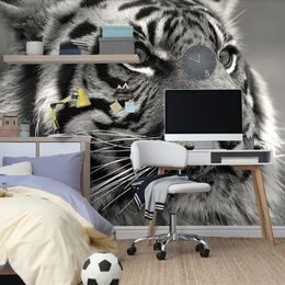 Fototapeta soustředěný pohled tygra v černobílém provedení