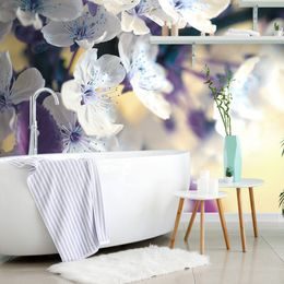 Samolepící fototapeta půvabná větvička třešně plná květin