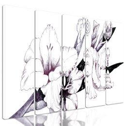 5-dílný obraz minimalistické zobrazení gladioly