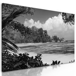 Obraz pohled na tropický ostrov v černobílém provedení