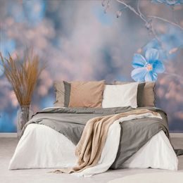 Tapeta drobné modré kvítky