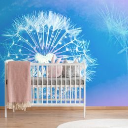 Originální samolepící tapeta pampeliška s modrým pozadím