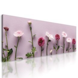 Obraz romantické květiny na starorůžovém pozadí