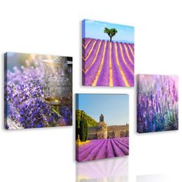 Set obrazů levandulová nádhera