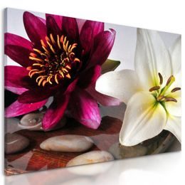Obraz květiny a síla Zen kamenů