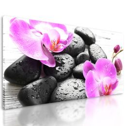 Obraz wellness kameny a orchidej po dešti
