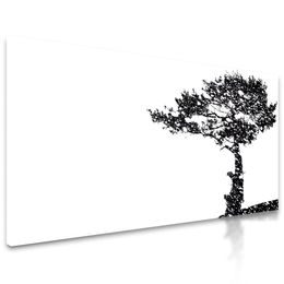 Obraz strom v černobílém provedení