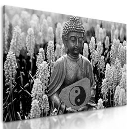 Obraz Buddha na levandulové louce v černobílém provedení
