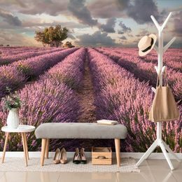 Samolepící fototapeta nekonečné levandulové pole