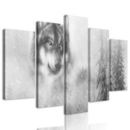 5-dílný obraz portrét vlka v černobílém provedení