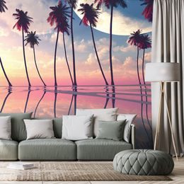 Samolepící tapeta exotické palmy při zapadajícím slunci
