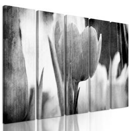 5-dílný obraz divoký tulipán ve vintage stylu v černobílém provedení