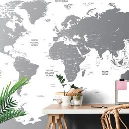Samolepící tapeta podrobná mapa světa v šedé barvě