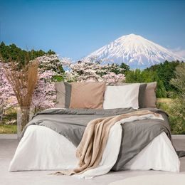 Samolepící fototapeta Fuji v objetí japonské přírody