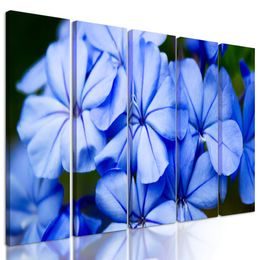 5-dílný obraz krásné nebesky modré květiny