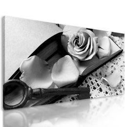 Obraz růže a tajný klíč v černobílém provedení