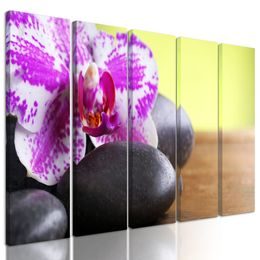 5-dílný obraz zajímavě zbarvená orchidej a Zen kameny
