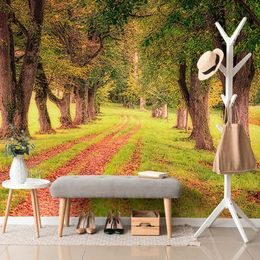 Tapeta stezka uprostřed podzimních stromů