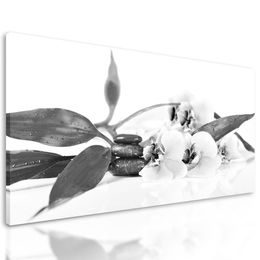 Obraz uklidňující Zen zátiší s květinami orchideje v černobílém provedení