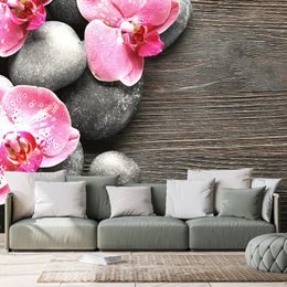 Fototapeta růžové květiny orchideje s kameny