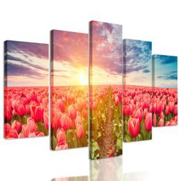 5-dílný obraz západ slunce nad rozkvinutými tulipány