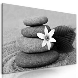Obraz kameny na písečné pláži v černobílém provedení