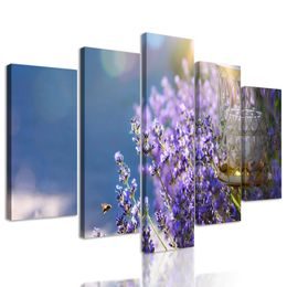 5-dílný obraz nádherné modro-fialové květy levandule