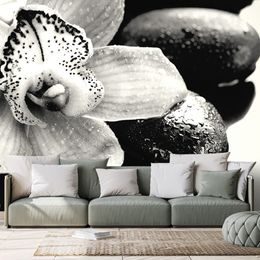 Fototapeta detail tropické orchideje v černobílém provedení