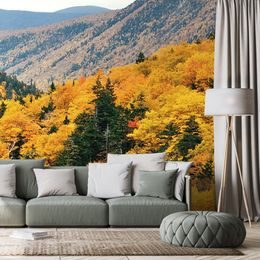 Okouzlující samolepící fototapeta podzimní příroda