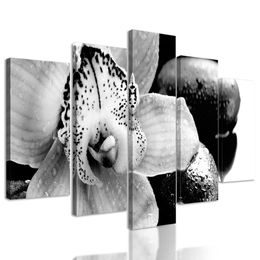 5-dílný obraz černobílý květ orchideje