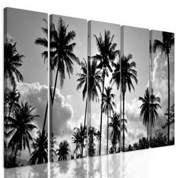 5-dílný obraz černobílé kokosové palmy